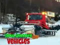 Žaidimas Sniego Valymo Transporto Priemonės internete