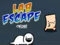 Žaidimas Laboratorijos pabėgimas internete internete Žaidimas Laboratorijos pabėgimas internete internete