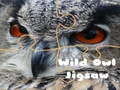 Žaidimas Laisvoji Pelėda Dėlionė internete