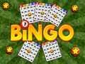 Žaidimas Bingo Atskleistas internete
