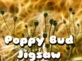 Žaidimas Ramunės pumpurų dėlionė internete Žaidimas Ramunės pumpurų dėlionė internete