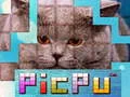 Žaidimas PicPu Katė internete Žaidimas PicPu Katė internete