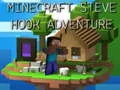 Žaidimas Minecraft Steve Kabliuko Nuotykiai internete
