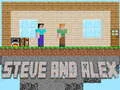 Žaidimas Steve ir Alex internete