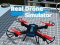 Žaidimas Realių dronų simuliatorius internete
