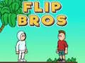 Žaidimas Flip Broliai internete