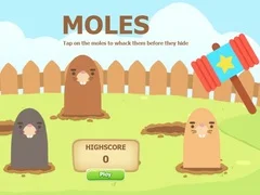 Žaidimas Trankyk molį internete Žaidimas Trankyk molį internete