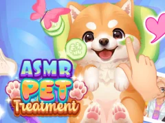 Žaidimas ASMR PET gydymas internete