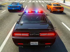 Žaidimas Miesto policijos automobilių gaudymo žaidimas internete