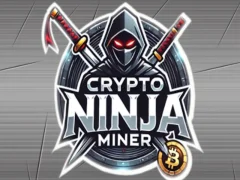 Žaidimas Kripto nindzių kalnakasys internete