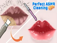 Žaidimas Puikus ASMR valymas internete