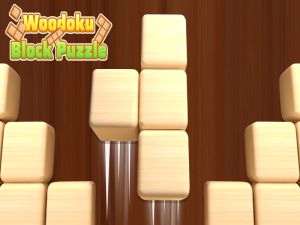 Žaidimas „Woodoku Block“ dėlionė internete