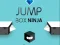 Žaidimas Šokinėjantis Dėžė Ninja internete