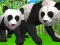 Žaidimas Panda Simuliatorius 3D internete