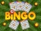Žaidimas Bingo internete