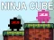 Žaidimas Ninja Kubu internete
