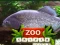 Žaidimas ZOO Trivia internete