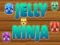 Žaidimas Želė Ninja internete