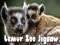 Žaidimas Lemūrų zoologijos sodo dėlionė internete
