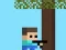 Žaidimas Steve nuotykiai Minescraft internete