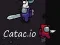 Žaidimas Catac.io internete