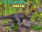 Žaidimas Mažiausių dinozaurų dėlionė internete