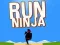 Žaidimas Bėk Ninja internete