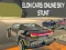 Žaidimas Elon Automobiliai: Internetiniai Dangaus Triukai internete