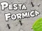 Žaidimas Skruzdėlių Šventė internete