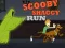 Žaidimas Scooby-Doo ir Shaggy: Bėgimas internete