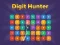 Žaidimas Digit Hunter internete