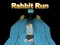 Žaidimas Rabbit Run 3D internete