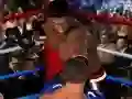 Žaidimas Galutinis Bokso internete