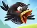 Žaidimas Krazy Paukščiai 2 internete