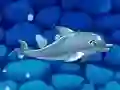 Žaidimas Mano delfinų šou 5 internete