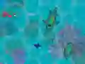 Žaidimas Sharkz.io internete