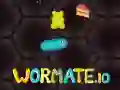 Žaidimas Wormate.io internete Žaidimas Wormate.io internete