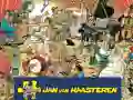 Žaidimas Jumbo Jan Van Haasteren internete Žaidimas Jumbo Jan Van Haasteren internete