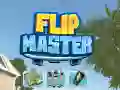 Žaidimas Flip Meistras internete Žaidimas Flip Meistras internete