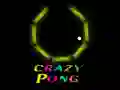 Žaidimas Beprotiškas Pong internete Žaidimas Beprotiškas Pong internete