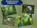 Žaidimas Dėlionė Lietaus Miškas internete Žaidimas Dėlionė Lietaus Miškas internete