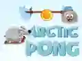 Žaidimas Arktinis Pong internete Žaidimas Arktinis Pong internete