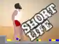 Žaidimas Trumpas gyvenimas internete