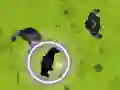 Žaidimas Juoda Panthera: Vibranio Medžioklė internete