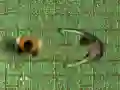 Žaidimas Infekcijos Labirintas internete Žaidimas Infekcijos Labirintas internete