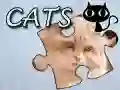 Žaidimas Dėlionė: Katės internete