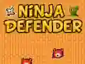 Žaidimas Ninja Gynėjas internete Žaidimas Ninja Gynėjas internete