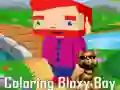 Žaidimas Spalvinimas Bloxy Berniuko internete Žaidimas Spalvinimas Bloxy Berniuko internete