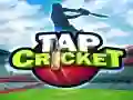 Žaidimas Tap Kriketas internete