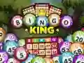 Žaidimas Bingo Karalius internete Žaidimas Bingo Karalius internete